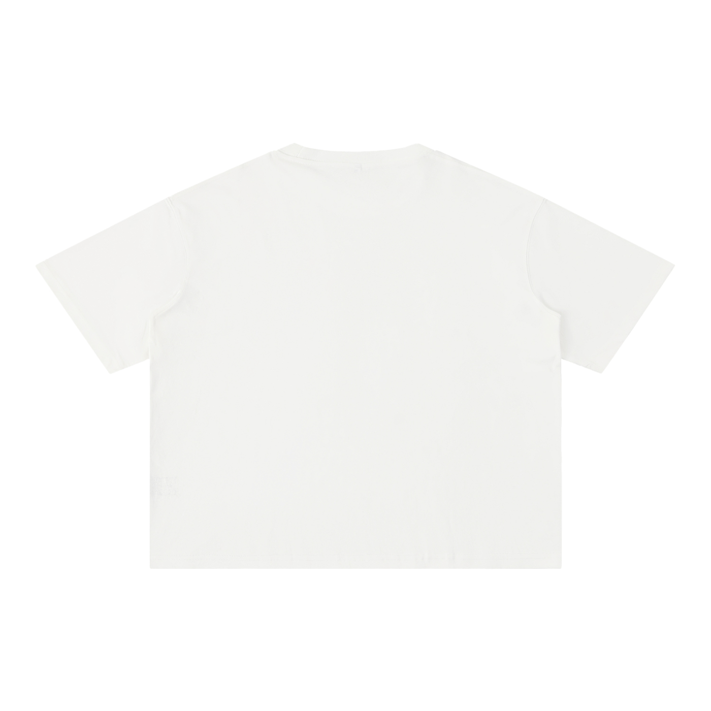 Si Bueno Island Baja Boxy Washed Tee