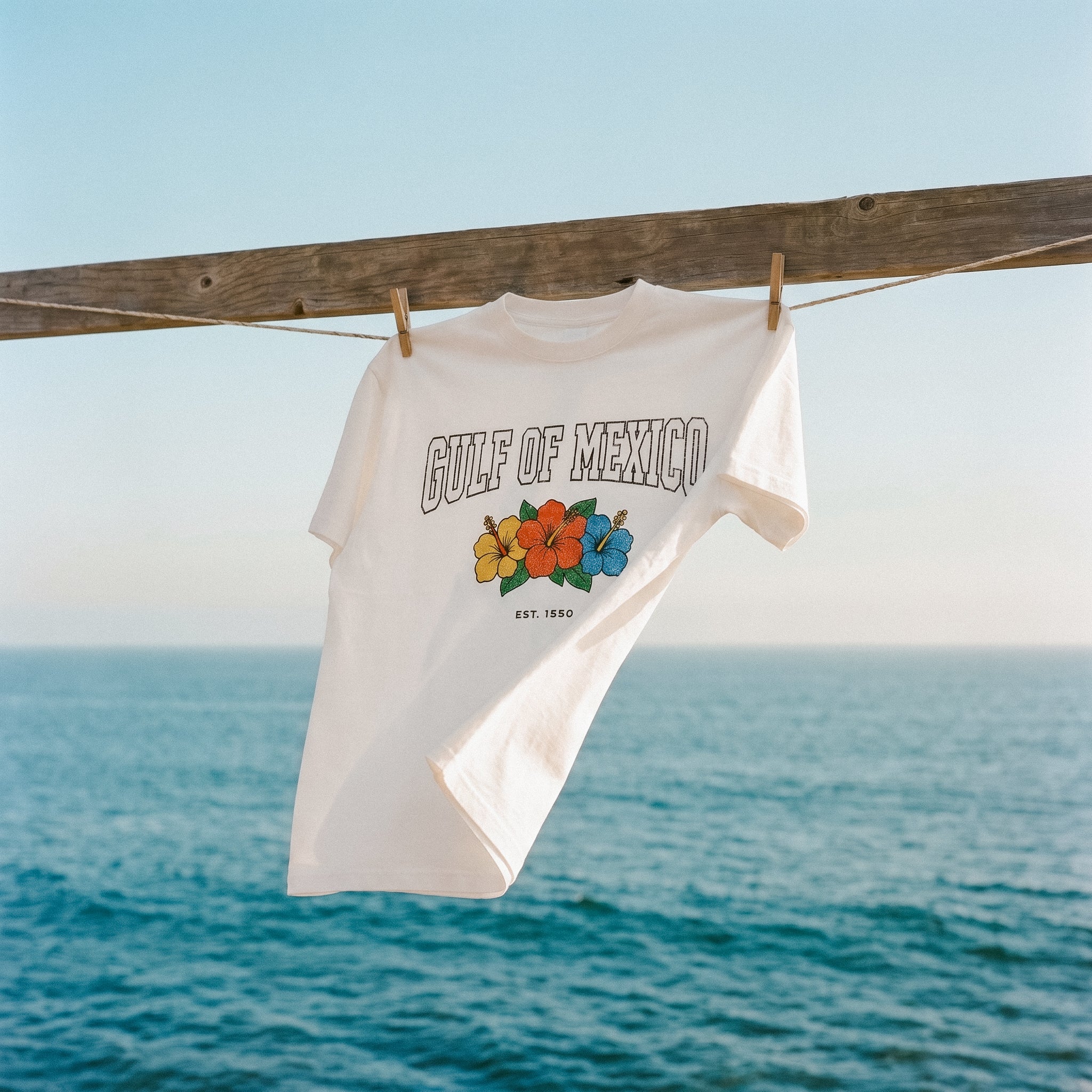 Gulf of Mexico Baja Washed Tee