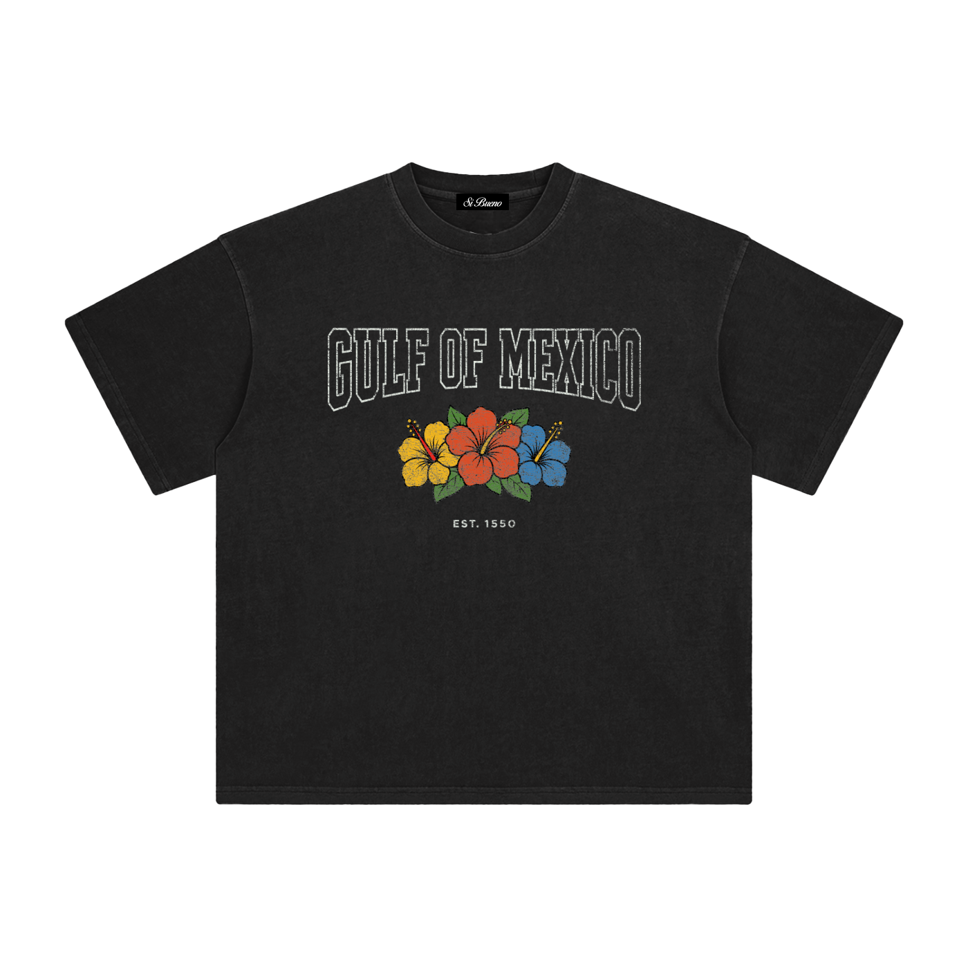 Gulf of Mexico Baja Washed Tee